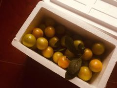 -呼吸森林·生态农庄农家乐私房菜