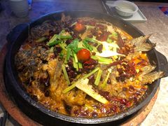 -老板恋上鱼(恒隆广场店)