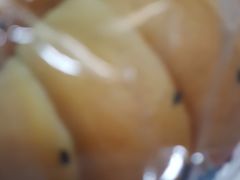 -红宝石·鲜奶小方(长阳店)