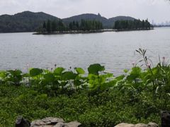 -东湖落雁景区