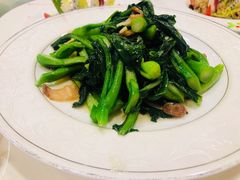 白灼菜心-西苑半岛·中餐厅