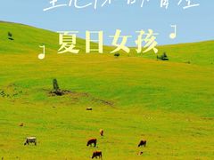 -百里天路