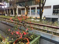 -芙蓉堂(武汉天地店)