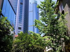 景点-徐家汇源景区-衡山坊