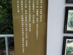 -成都市活水公园