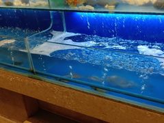-芭菲盛宴·环球美食(锦城万达广场店)
