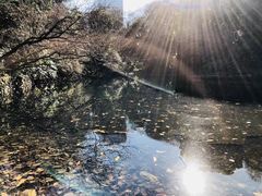 -苹果花园(桂林路店)
