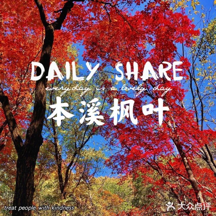 本溪枫叶红了🍁秋季关门山只为这一抹红