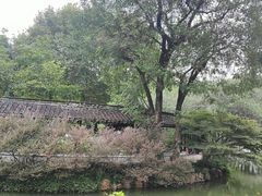 -上海醉白池公园