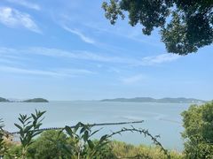 -上海市保健医疗中心