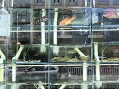 -凯华海鲜火锅·传承三十六年