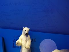 -贝林大翅鲸简餐厅(国家海洋博物馆店)