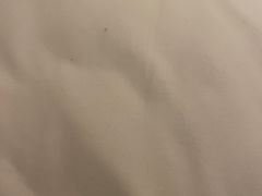 -上海雅居乐万豪侯爵酒店