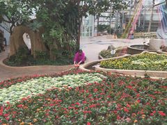 -南山植物园