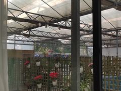 -桉树林A coffee 森林餐厅(三圣乡店)