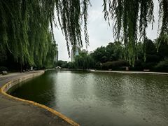 -团结湖公园