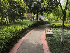 -龙头寺公园
