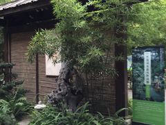 -香园自助小火锅