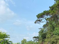 -羚羊峡古栈道森林公园