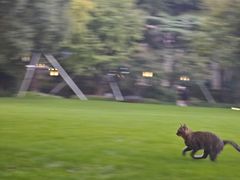 -Patek Philippe百达翡丽(上海源邸店)