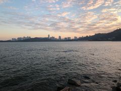 -野狸岛
