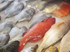 -浙C老邻舍(西城海错店)