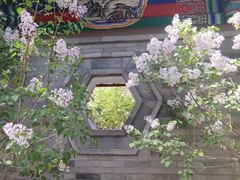 -内蒙古将军衙署博物院