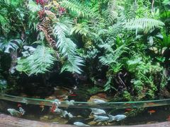 -太平洋海底世界