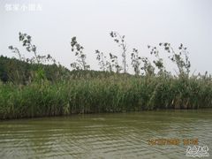 -大湾区中央湿地公园