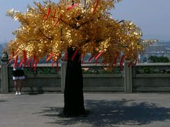 -方山风景区定林寺