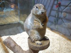 -合肥海洋世界