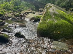 -三块石国家森林公园