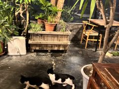 -北马山庄植趣咖啡