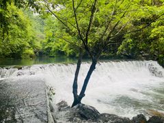 -石台牯牛降景区