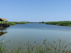 -宁波杭州湾国家湿地公园