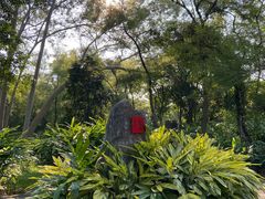 -广西壮族自治区药用植物园