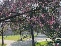 -上海海湾国家森林公园