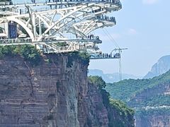 -合肥野生动物园