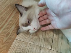 -iF摄影•全家福•证件照•形象照(南山店)