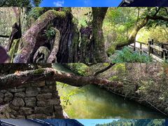 -古堰画乡景区