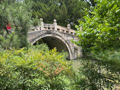 -上海醉白池公园