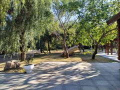 -长春公园(普阳街道)