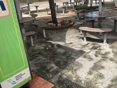 -东海岸人工湖美食村