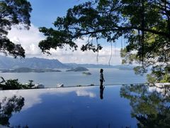 -大埔公路-马料水段香港中文大学(公交站)