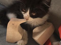 -五月木作·DIY木作文创体验店(北京路店)