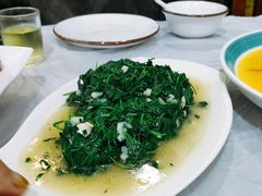 草头-溱湖八鲜菜馆