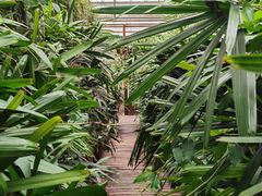 -呀路古热带植物园