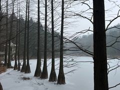 -四明山国家森林公园