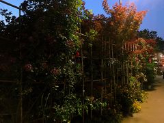 -凤来栖·净庭院·火锅(欧尚店)