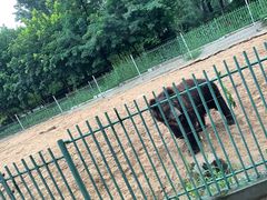 -秦皇岛野生动物园